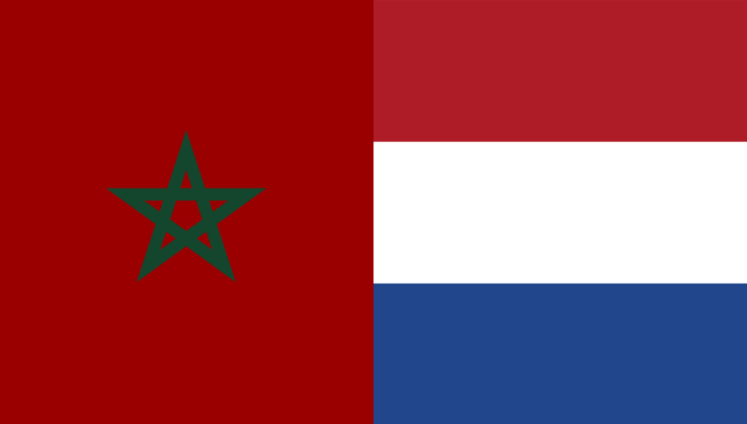 مناظرة بهولندا حول أثار وباء كوفيد 19 على الإصلاحات في المغرب وأنشطة التضامن للمغاربة المقيمين بالخارج.