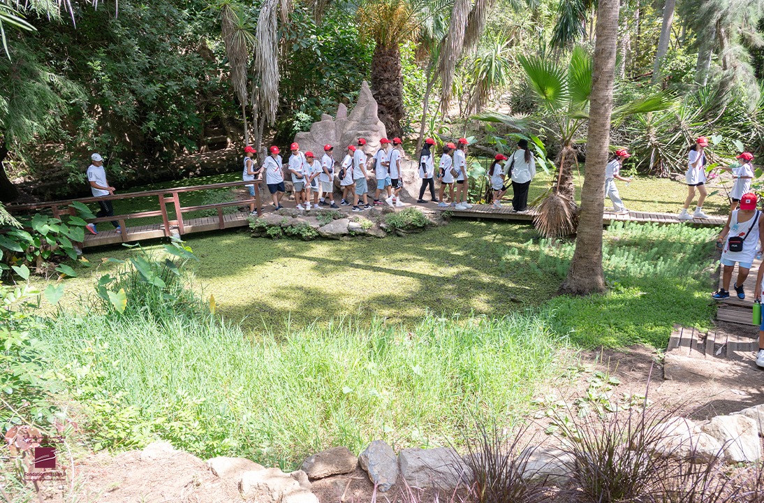 Séjour culturel 2025 - Sortie aux jardins exotiques et au complexe des métiers de la poterie