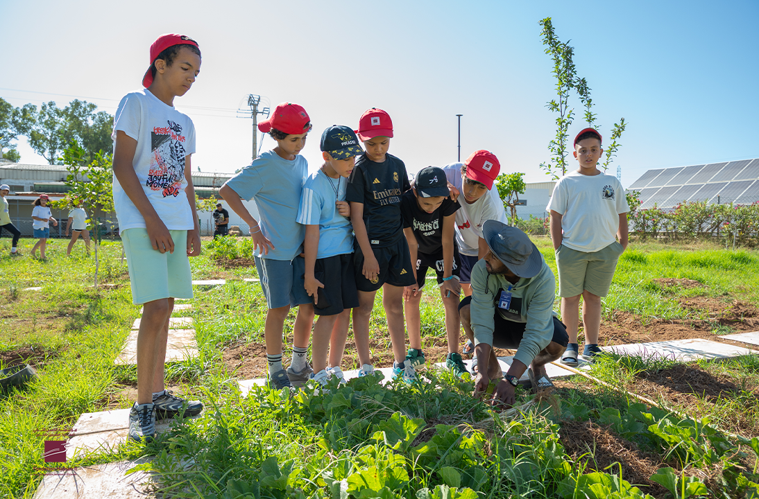 Séjour culturel 2025 - Dans la peau d'un agriculteur